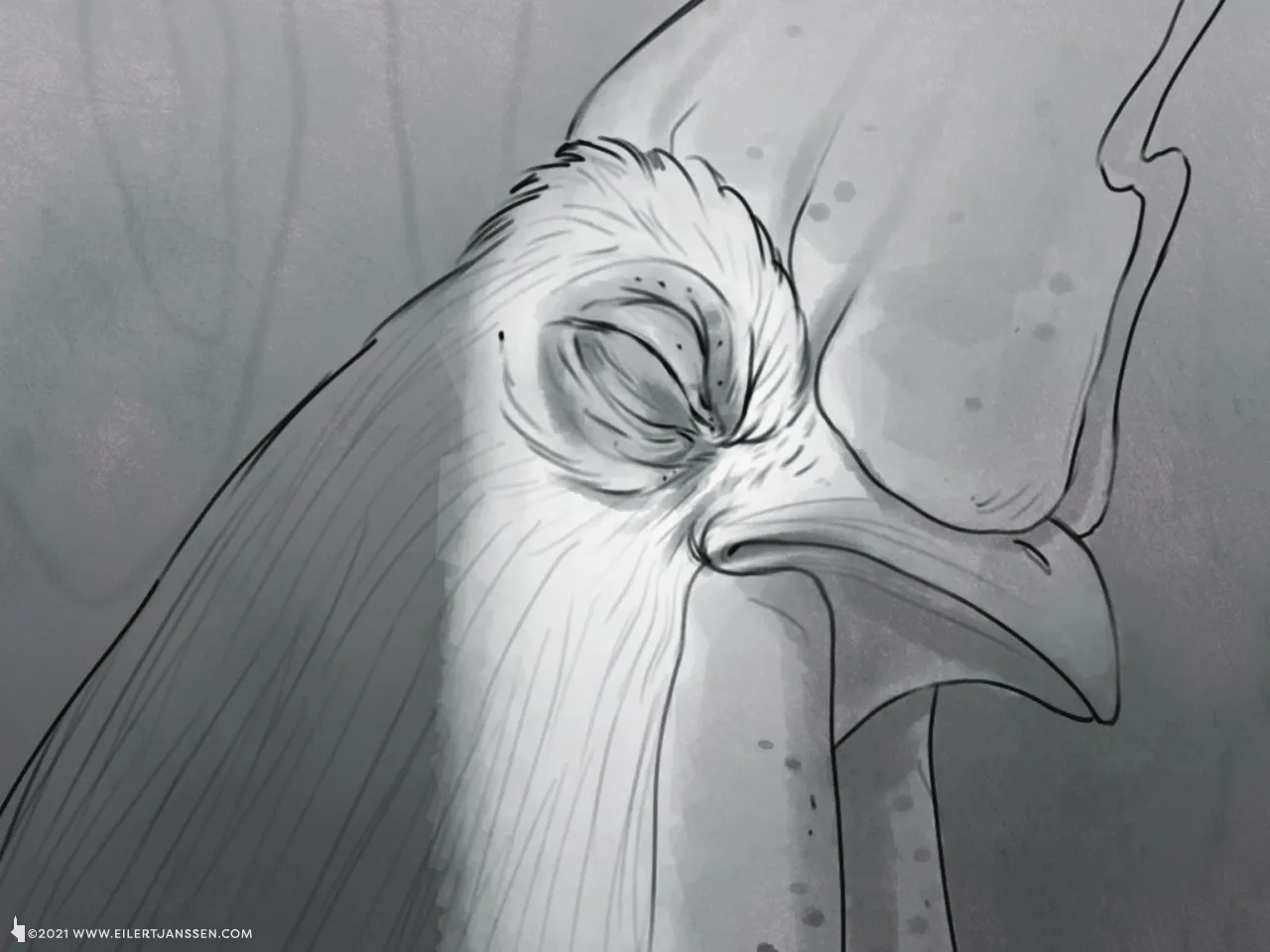 STORYBOARD